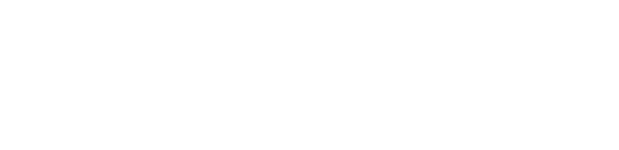 Data Networks logo with tagline white