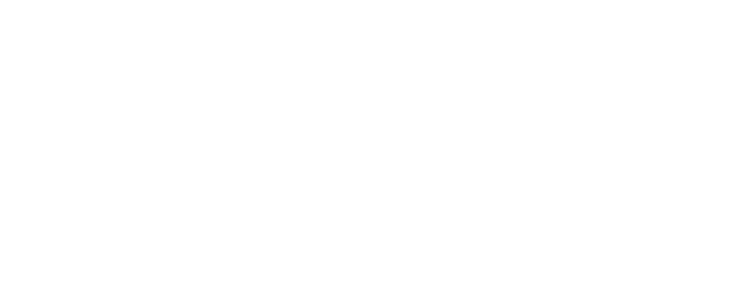 Silverfort Logo (White)